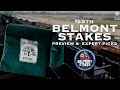 155th Running Of The Belmont Stakes: Preview & Expert Picks | CBS Sports