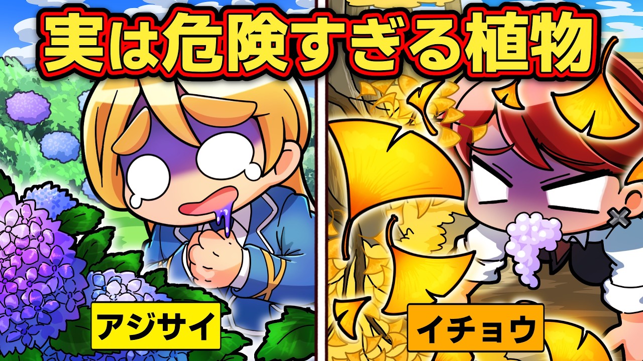 絶対近づくな！あなたの身近にある猛毒植物４選パート2【アニメ】【マンガ】