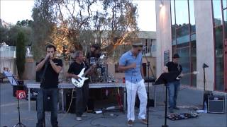 [cover] I don't believe a word you say (Ben Harper) (cover by TUMBLEWINGS)