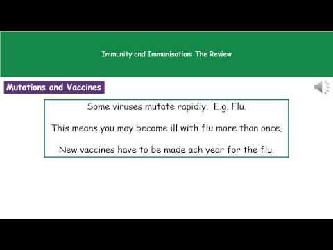 B1 5   Immunity and Immunisation Foundation Tier Summary