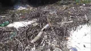 preview picture of video '2 km de lixo no Parque Nacional do Superagui'