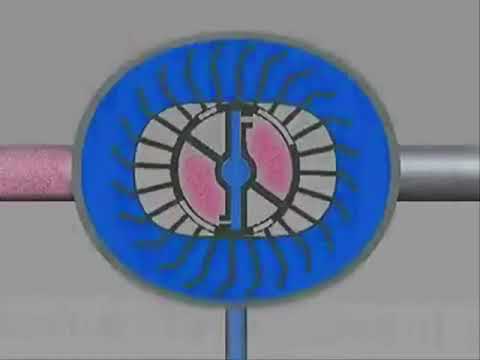 Liquid Ring Compressor System Principle
