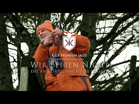 Driven hunt in Burgundy - Hunting wild boar in France with the RWS Driven Hunt rifle