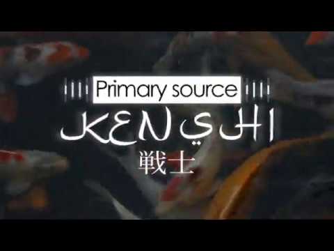 [FOR SALE] Japanese type beat - kenshi (prod. primary source)