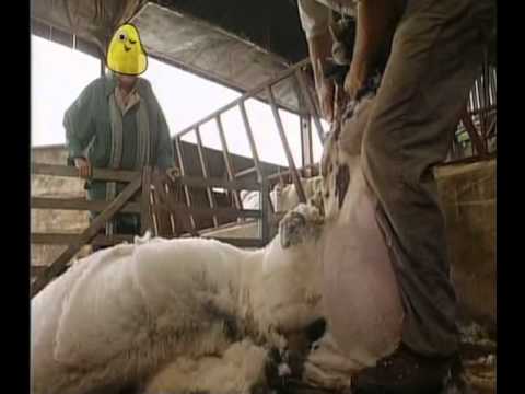 Come Outside - A Woolly Jumper