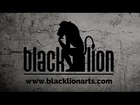 BLACKLION Marketing Agency Solutions Intro