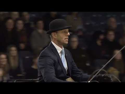 HK 2023 | Horses2Fly KFPS Sport Competition Harnesses | Part 2 | English