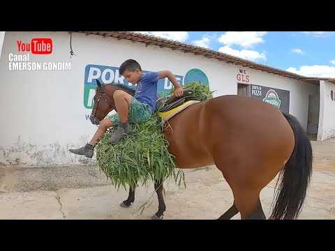COWBOY LEVY AT WORK IN GUARANI PARK
