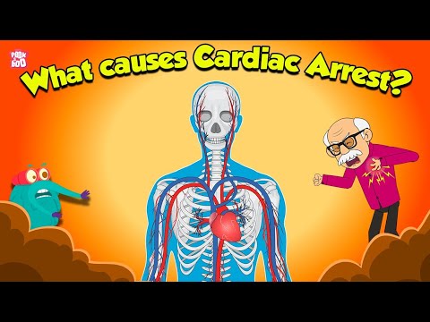 Heart's Electrical System Failure 🫀 What Causes Cardiac Arrest? | Heart Conditions | Dr. Binocs