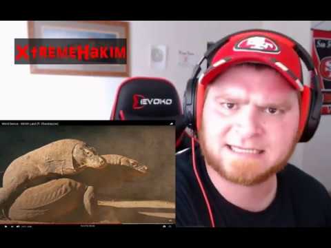 Weird Genius- WKWK Land (REACTION) Komodo Dragon's Mating? Hilarious Indonesian Techno reaction!