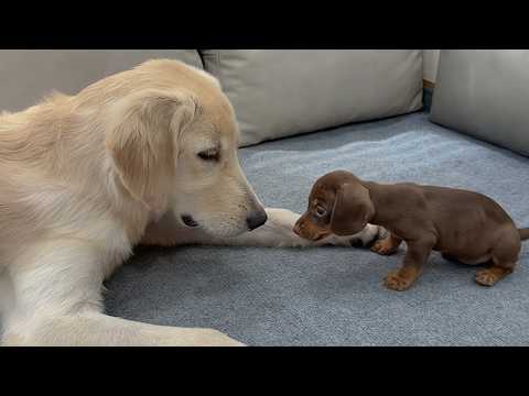 YouTube 썸네일