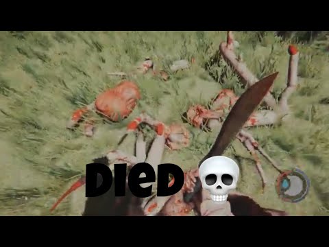 Me killing the "Boss" mutant in the forest