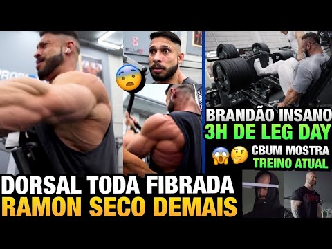 RAMON MOSTRA DORSAL CHEIA DE DETALHES + BRANDÃO 3 HORAS TREINANDO PERNA + CBUM TREINOS ATUAIS