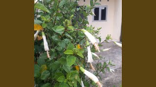 Download lagu Matamu Menyimpan Cinta mp3 Download lagu Matamu Menyimpan Cinta mp3