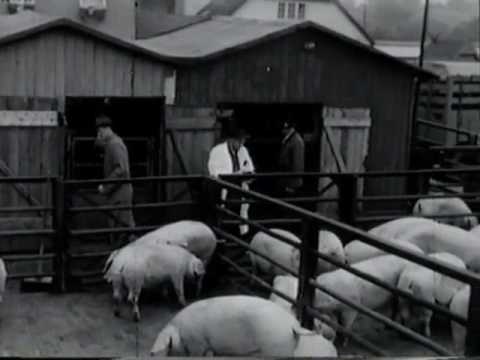 Ganderkesee 1960 Teil 2 - Film über 1100 Jahrfeier