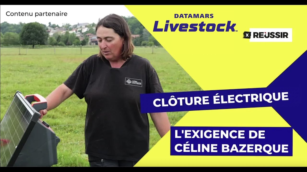 Clôture électrique : exigences et expérience de Céline Bazerque avec Speedrite !