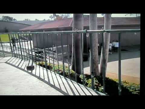 David Gravette 50-50 El Toro