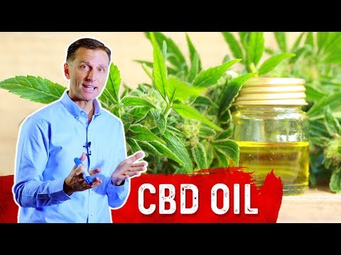 An APPLE a Day Will NOT Let Your Weight Go Away – Dr Berg