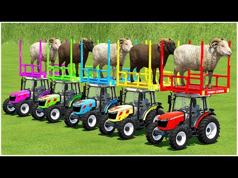 TRANSPORTING RAMS WITH CASE TRACTORS! Farming Simulator 22