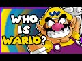 Who Is Wario? - TheSassJacket