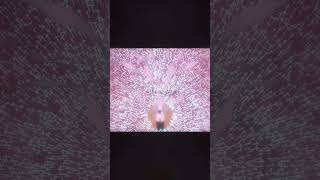 glass coughs | evangelion edit