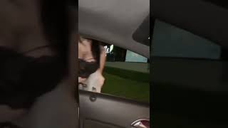 #5tiktok #8tiktok #ktiktok #tiktok #tiktokqueen #tiktok2022