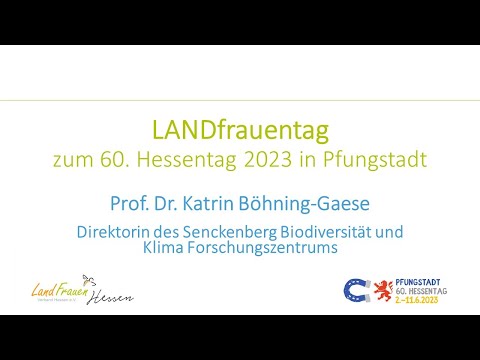 Video-Thumbnail von YouTube