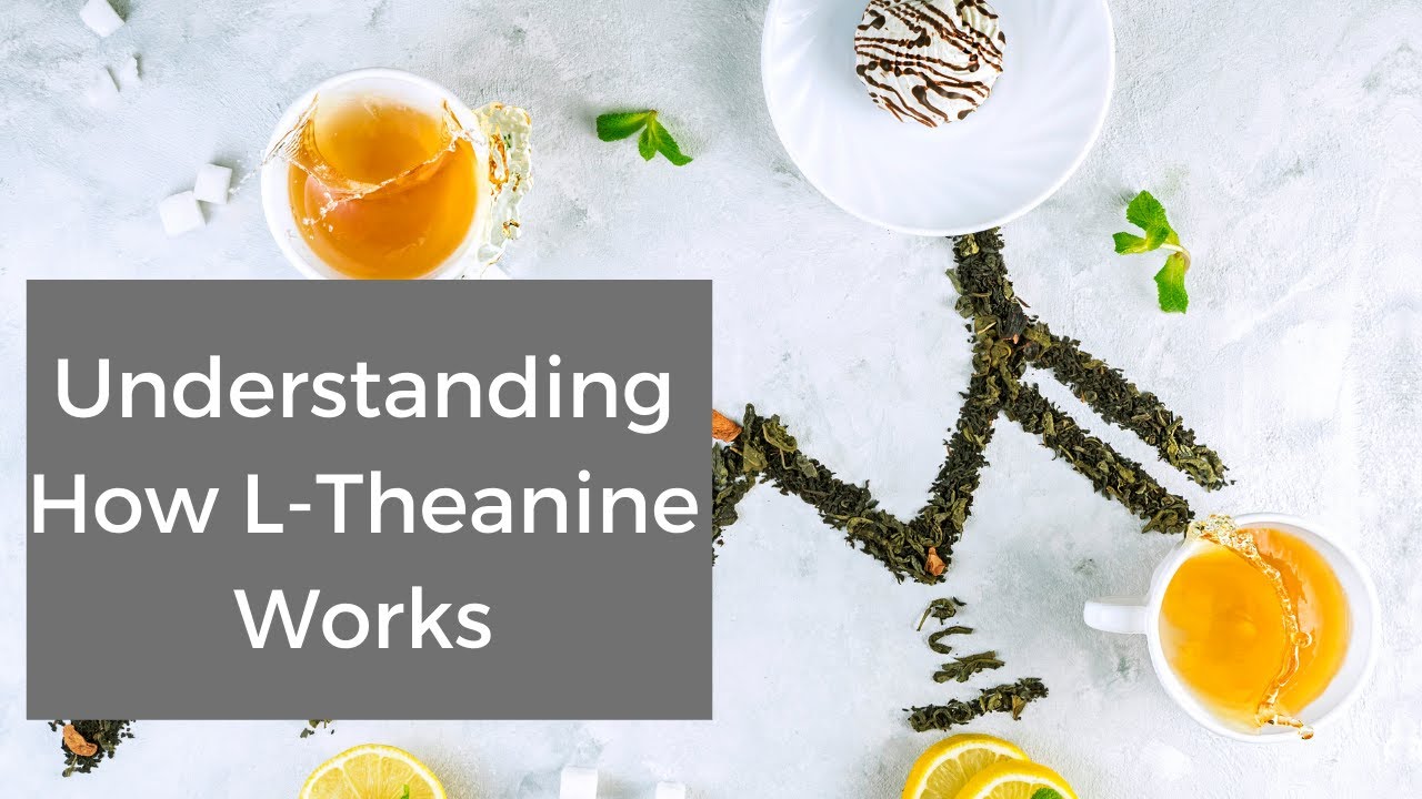 Understanding How L-Theanine Works