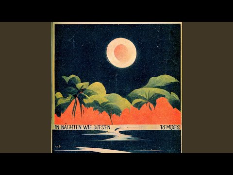 In Nächten wie diesen (feat. Blanko Malte) (House Remix)