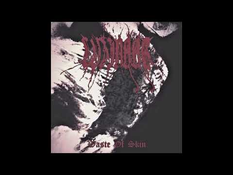 LUZINAAR / NEBETEMN - LUZINAAR - Waste Of Skin (2024)