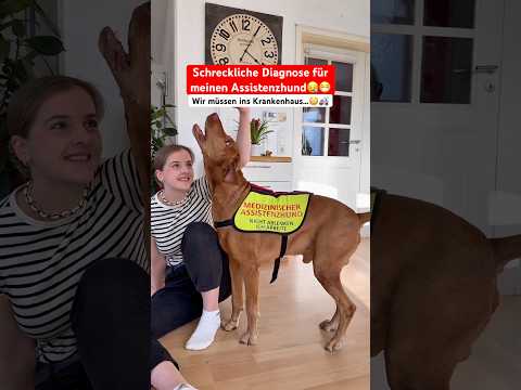 Ich hoffe ihm geht es schnell wieder besser🫢 #assistenzhund #rettungsdienst #hund #pflege