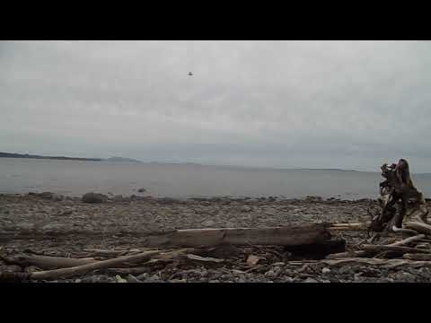 DJ Ooah - Tech This Out