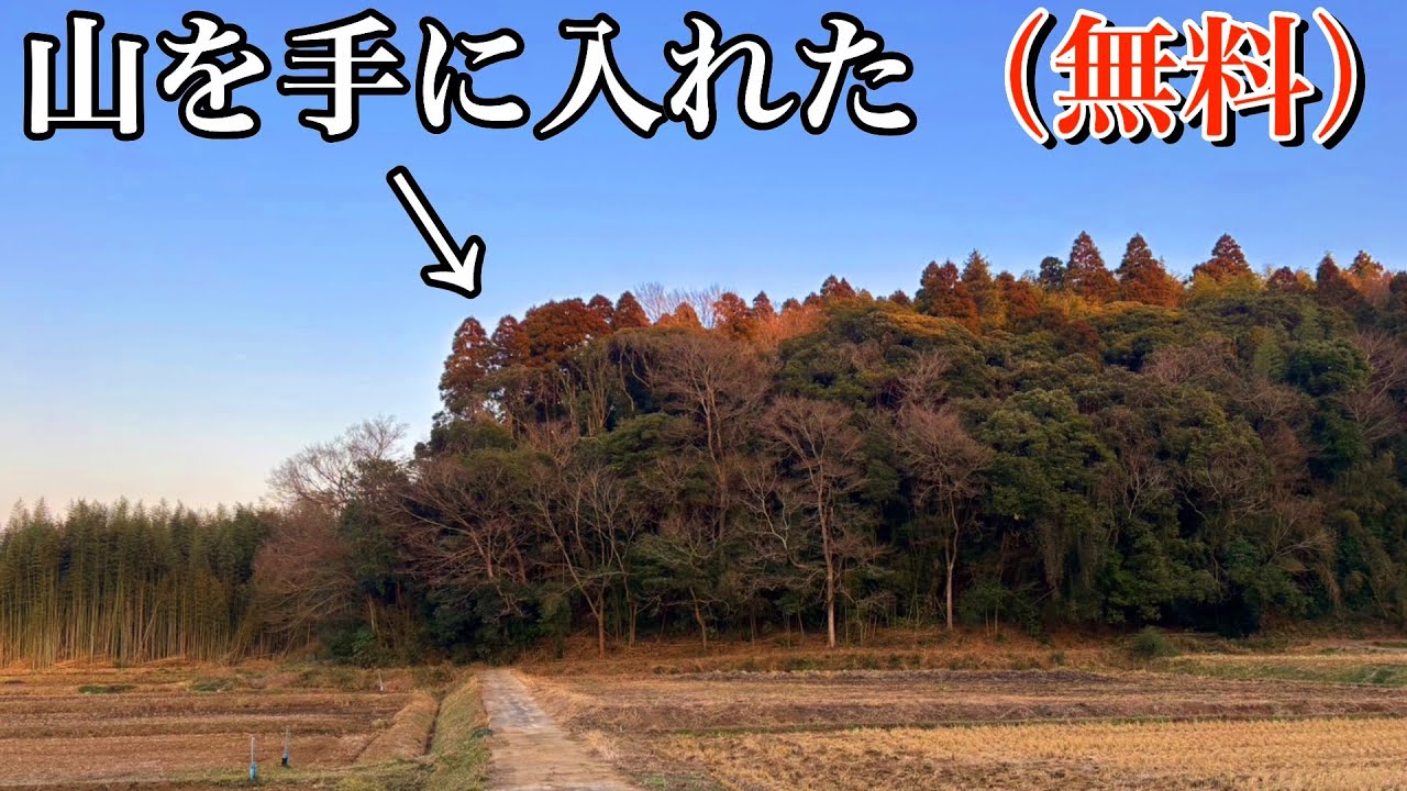 無料で山をもらったので調査してみた