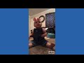 Cute Baby Dancing And Clapping Funniest Baby Ever Whatsapp Status Funny Instagram Story