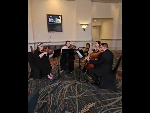 Promotional video thumbnail 1 for Infinite Strings, LLC