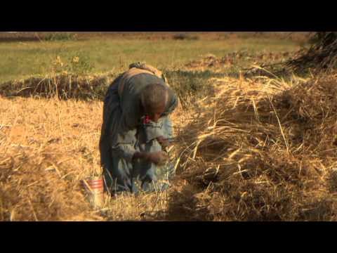 Hope in a changing climate - John D. Liu