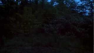 Beautiful Ohio Spring Morning