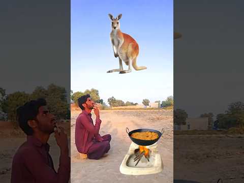 Sab Nabiyon Se Aala ﷺ  || Soulful Islamic Kalam || Beautiful Voice #islamicstatus #islamicshorts
