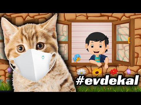 Dışarı Çıkamayanlara Özel Konuşan Pisiler #evdekal