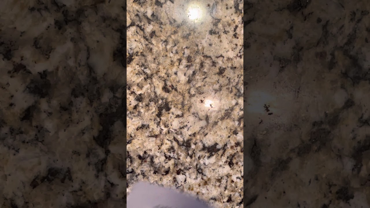 DNA Chemistry and Replication Worksheet Walkthrough