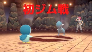 【ポケモンBDSP】ポッチャマ一匹でクリアするダイパリメイク#2