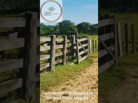 Fazenda 450 alq à beira do Rio Araguaia em Britânia-GO. 5 km do asfalto. Venda.