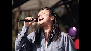 STEVE PERRY. RUNNING ALONE