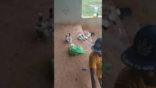 Download lagu tingkah lucu orang mabuk 😂😂😂 mp3 Download lagu tingkah lucu orang mabuk 😂😂😂 mp3