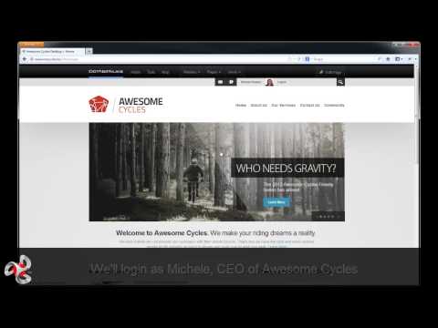 Granular permissions in DotNetNuke