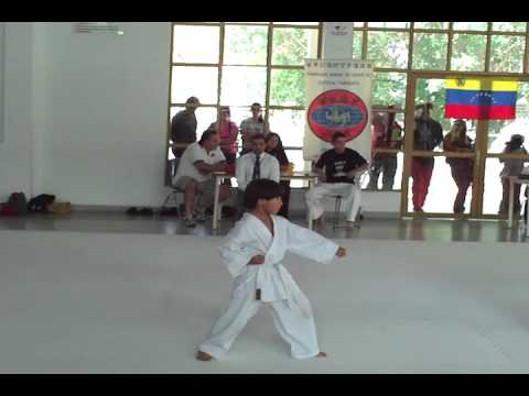 3ºera Competencia en Kata del I Campeonato Interno de Karate Do Shotokan WSKF del 2009