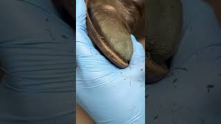 Download lagu Quick fix Leather scratches on shoes #asmr mp3