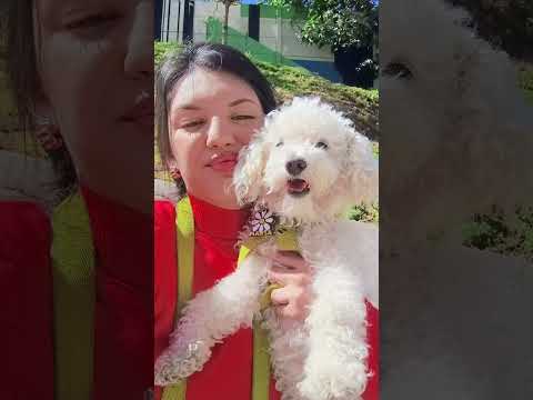 #viral #parati #avellaneda #buenosaires