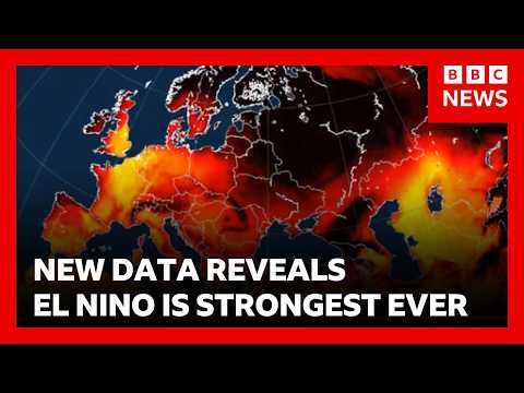 New data shows El Niño is strongest ever with major shift in global weather patterns | BBC News