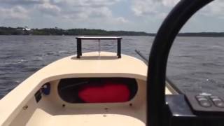 Gladesmen running the Wando River